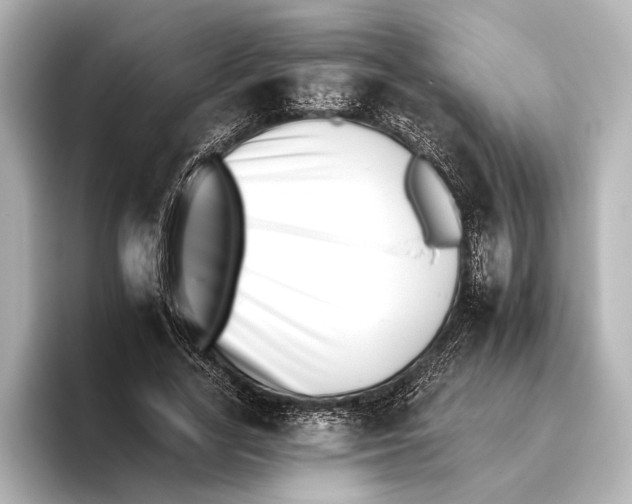 X0000095670731200802051230