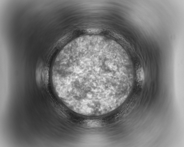 X0000095670733200802051230