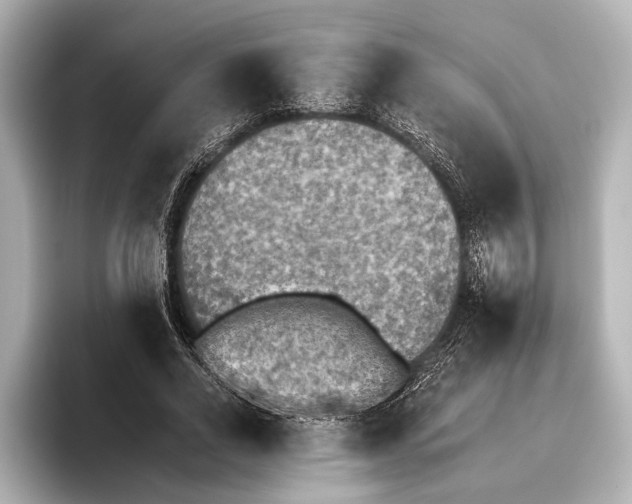 X0000095670734200802051230