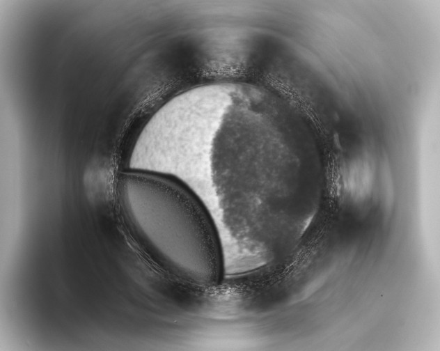 X0000095670735200802051230