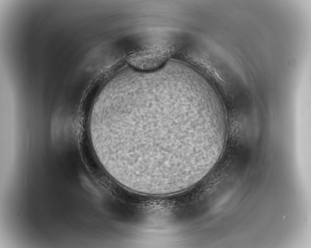 X0000095670736200802051230