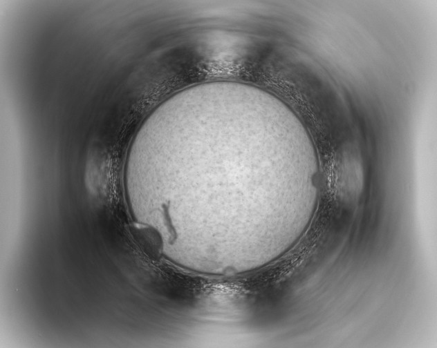 X0000095670737200802051230