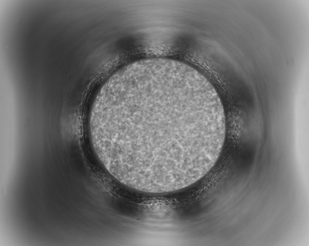 X0000095670738200802051230