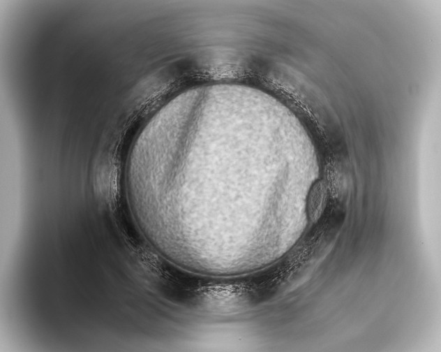 X0000095670740200802051230