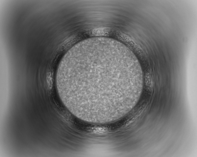 X0000095670741200802051230