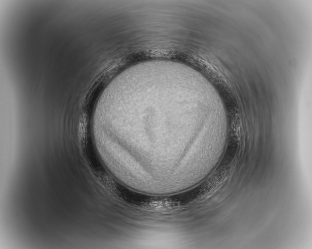 X0000095670744200802051230