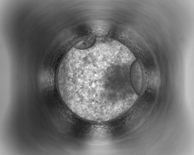 X0000095670745200802051230