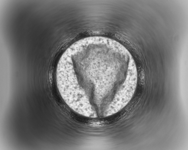 X0000095670746200802051230