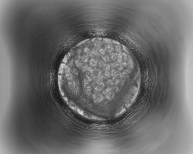 X0000095670747200802051230