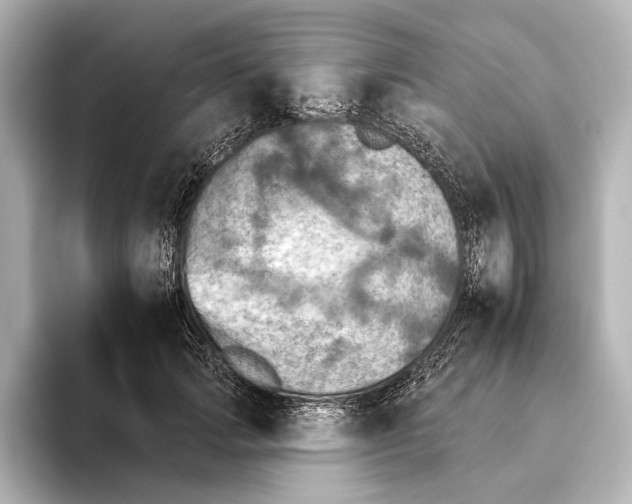 X0000095670749200802051230