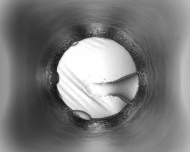 X0000095670750200802051230