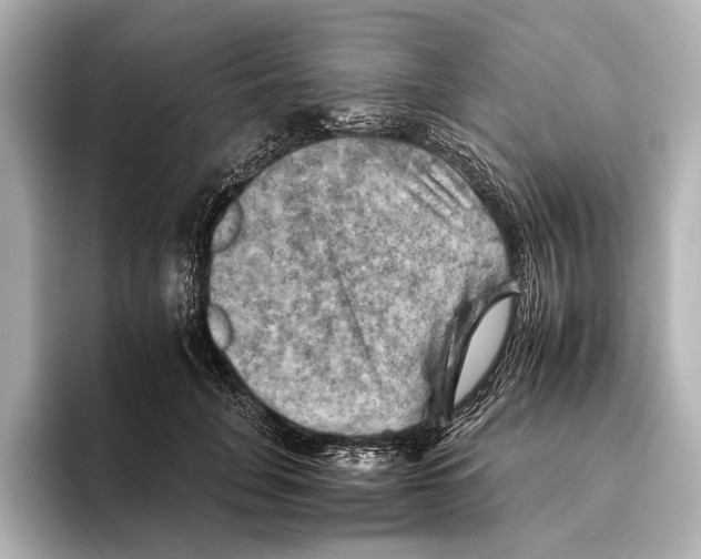 X0000095670751200802051230