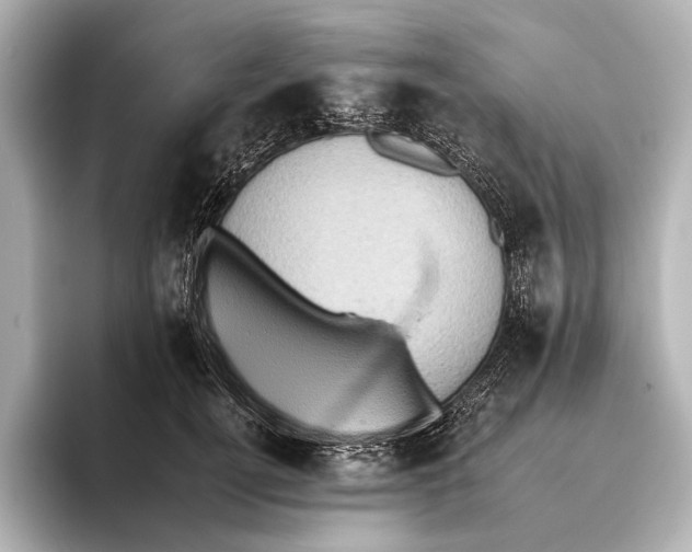 X0000095670752200802051230