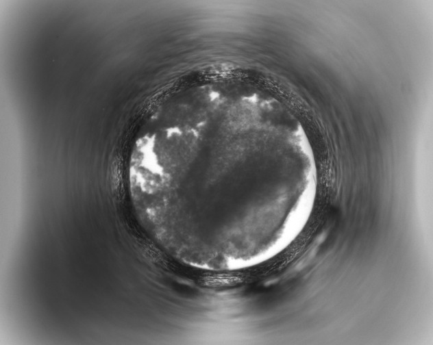 X0000095670754200802051230