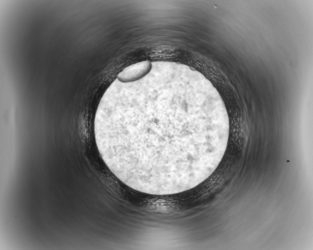 X0000095670755200802051230