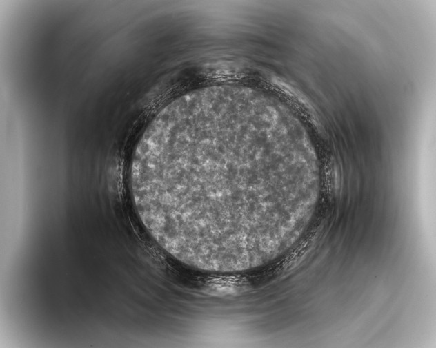 X0000095670757200802051230