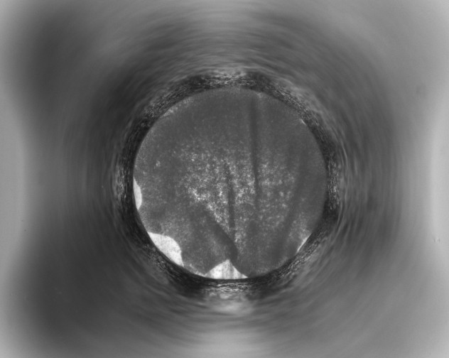 X0000095670758200802051230