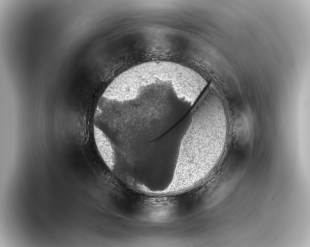 X0000095670759200802051230