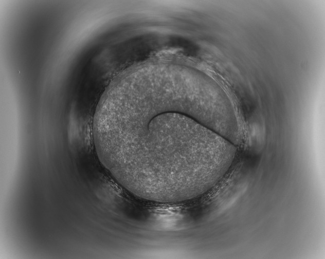 X0000095670760200802051230