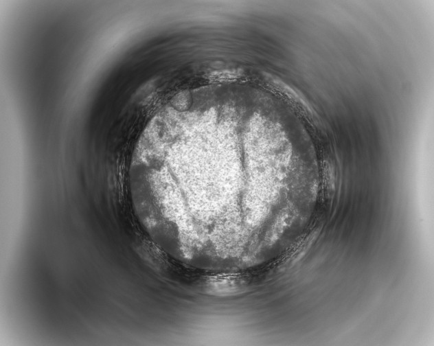 X0000095670761200802051230