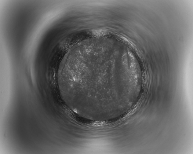 X0000095670762200802051230