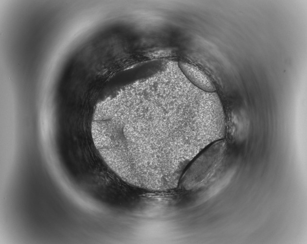 X0000095670763200802051230