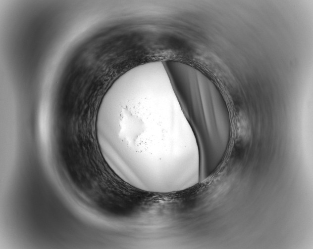 X0000095670764200802051230