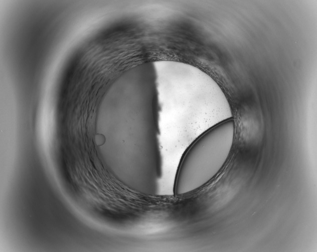 X0000095670765200802051230