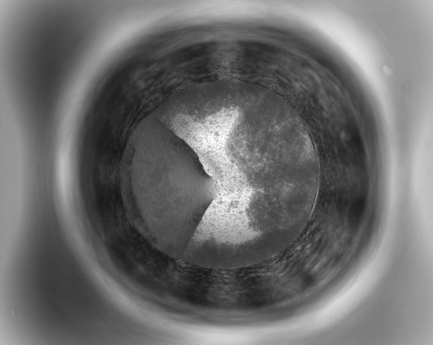 X0000095670766200802051230