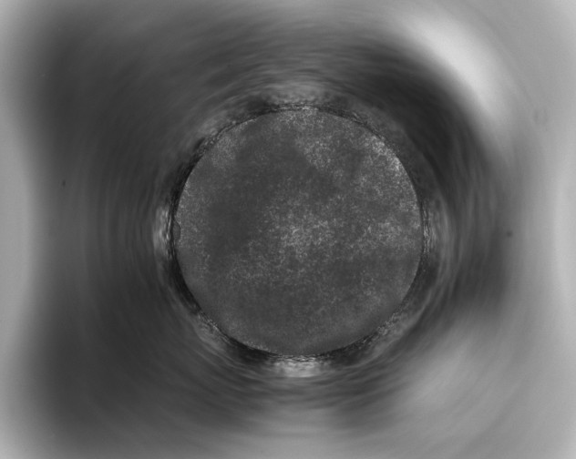 X0000095670767200802051230