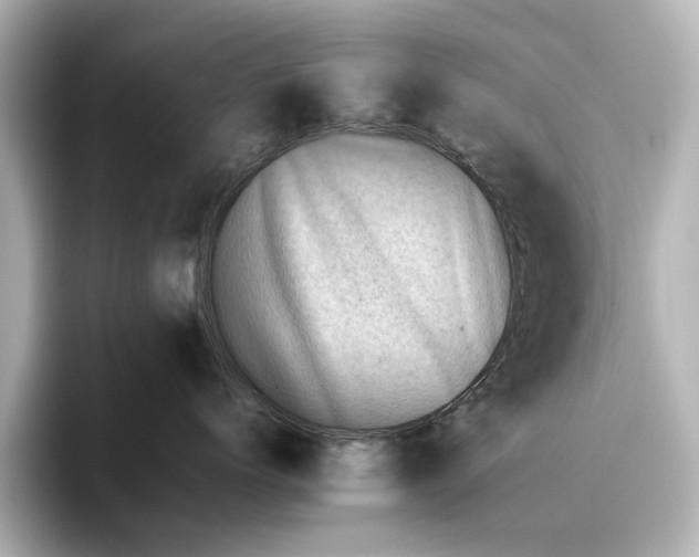 X0000095670768200802051230