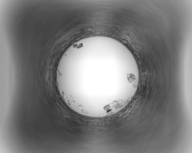 X0000095670769200802051229