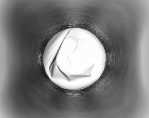 X0000095670770200802051229