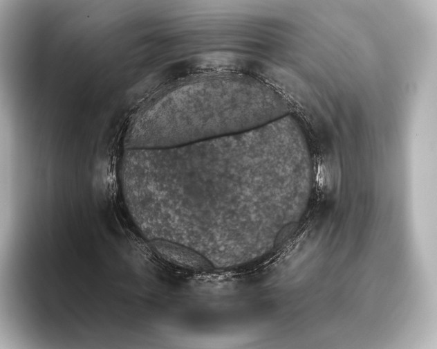 X0000095670771200802051229