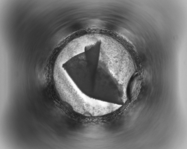 X0000095670775200802051229