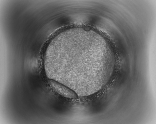 X0000095670776200802051229