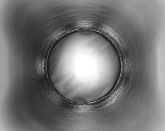 X0000095670777200802051229