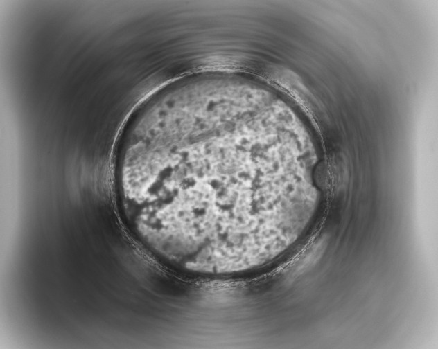 X0000095670779200802051229