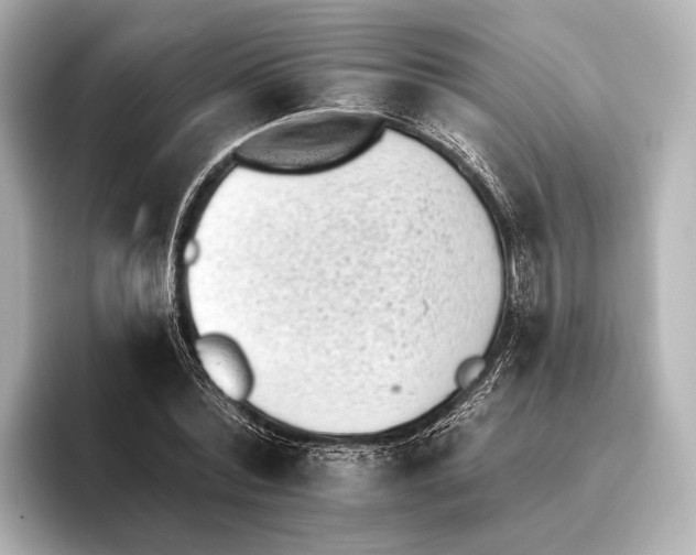 X0000095670780200802051229