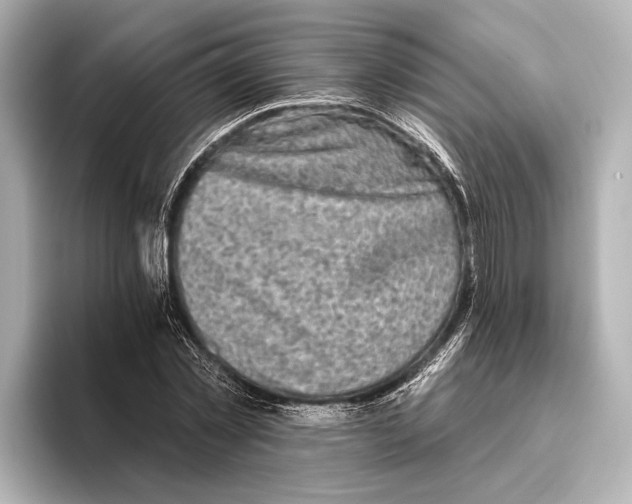 X0000095670781200802051229