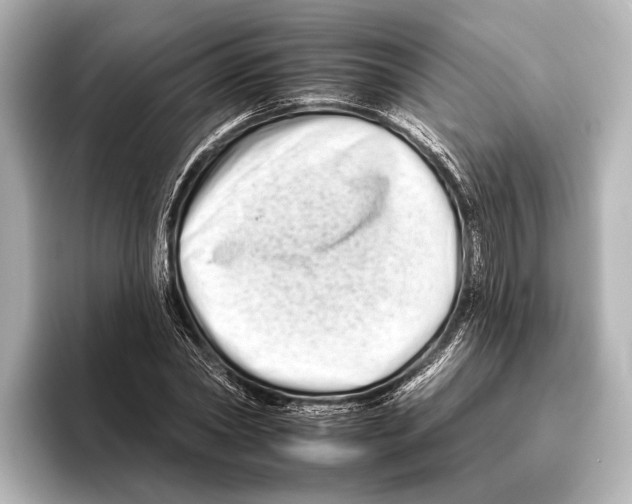 X0000095670782200802051229