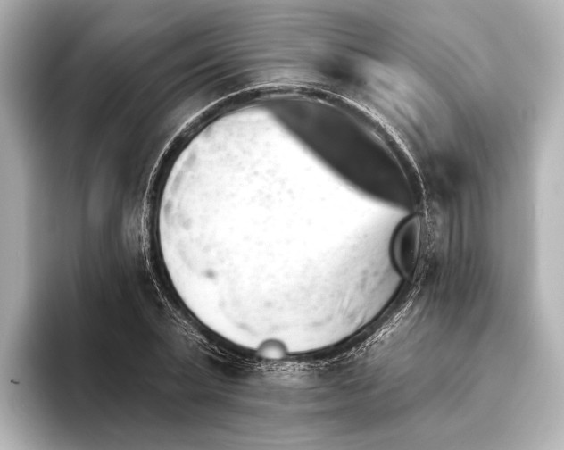 X0000095670783200802051229