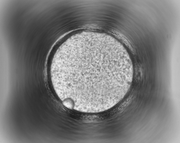 X0000095670784200802051229