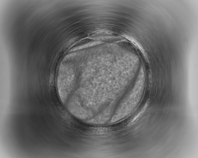 X0000095670785200802051229