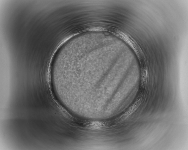 X0000095670787200802051229