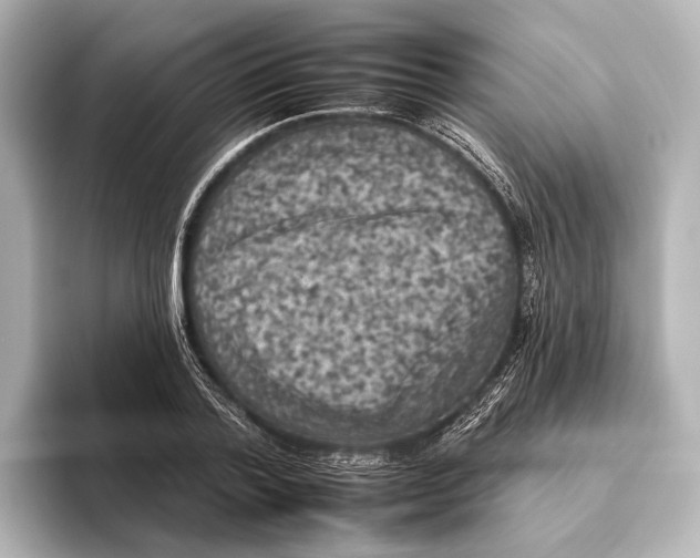 X0000095670788200802051229