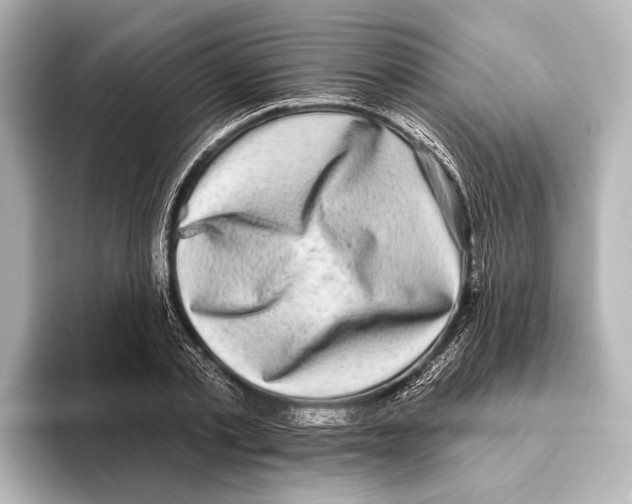 X0000095670789200802051229