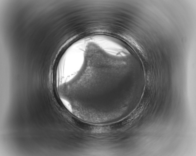 X0000095670790200802051229