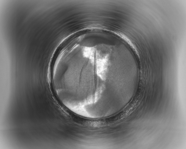 X0000095670791200802051229