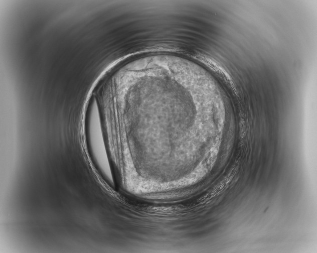 X0000095670792200802051229